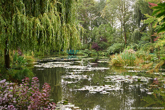 Monet's Garden in Giverny