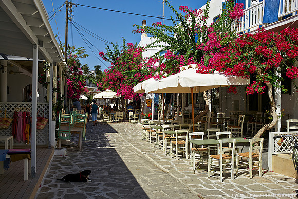 Antiparos Street in Main Town